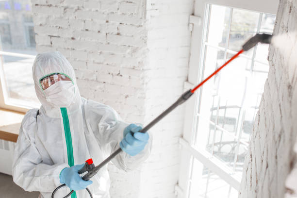 Best Mold Remediation for Specific Building Types in Southwest Greensburg, PA